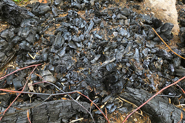 istock Burnt Wood Texture After Forest Fire for Environmental and Educational Use 2213136436