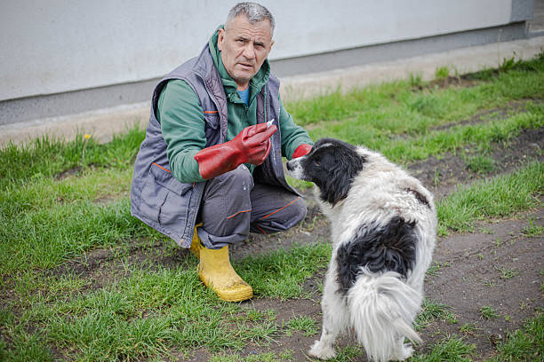 Owner uses flea and tick medication to protect his dog