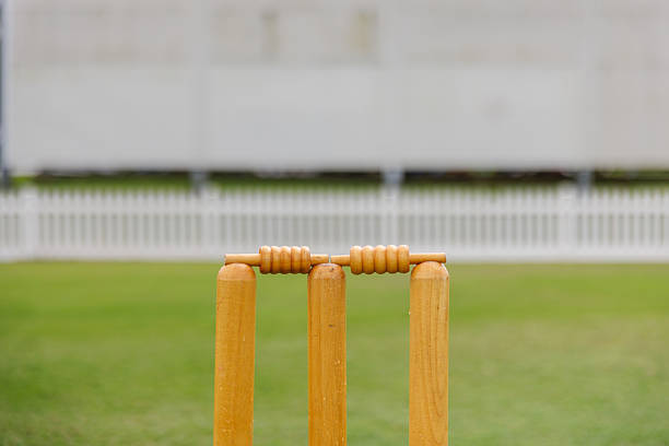The stock photo shows an empty cricket pitch and field, with no players or spectators in sight. The pitch is a large, rectangular-shaped area in the center of the field, with a flat surface that has been carefully maintained. The photo captures the pitch and field from a ground level, showing a close-up of the pitch and field. The photo conveys a sense of calm and stillness, as if the pitch and field are waiting for the excitement of a cricket match to begin