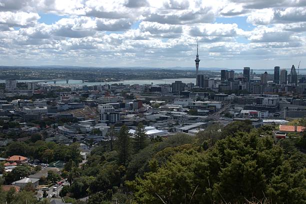 istock Auckland City 2213144734