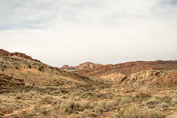 istock A rugged desert canyon scene with sparse brush, rocky outcrops, and sandstone cliffs under a cloudy sky in the American Southwest 2213145948
