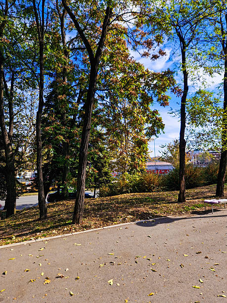 istock Autumn landscape colors 2213146811