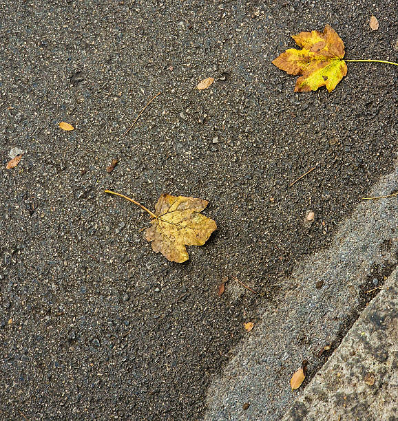 istock Autumn landscape colors 2213146842