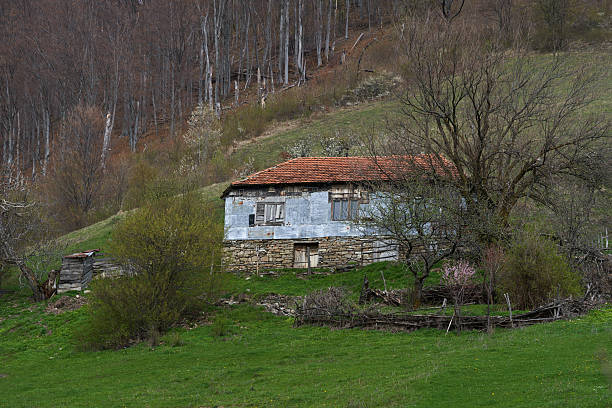 A serene view of a country house surrounded by leafless trees, hills, and partially snow-covered ground on a sunny late winter day showcasing rural tranquillity.