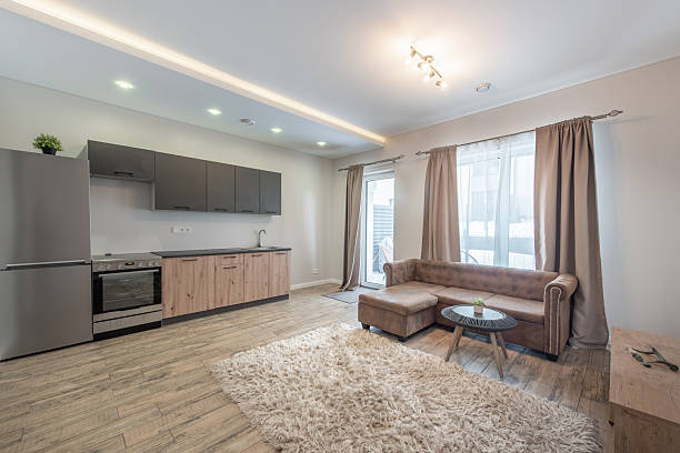 istock Modern Open-Plan Living Room and Kitchen with Cozy Interior Decor 2213154386