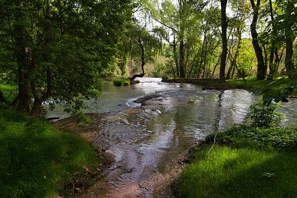 istock Tranquil river winding through lush greenery in a peaceful forest setting during the day 2213154716