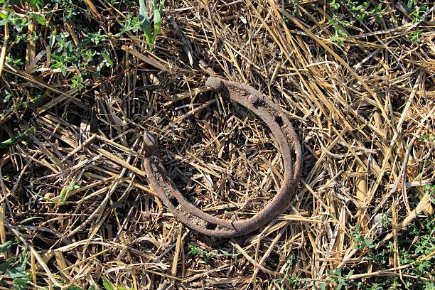 An old horseshoe found in the grass. Narin, Kyrgyzstan.