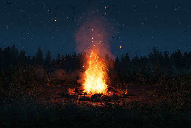 istock Campfire with sparks and particles in front of wild grass and starry sky. 3D Rendering 2213162320