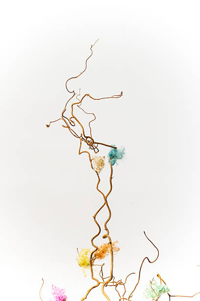 istock Upper section of twisted twigs with wool pieces.. 2213164055