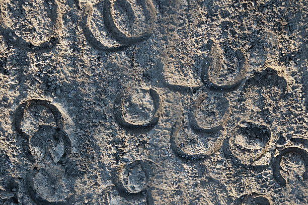 horseshoe marks on frozen ground