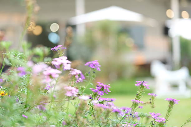 The garden and flower garden views are very attractive.