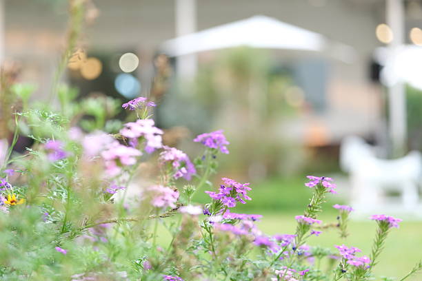 Blurred background photo of a field decorated with flowers.