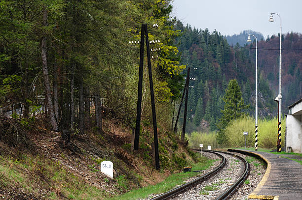 A damp railway track winds through a quiet forested area, with wet gravel and overgrown vegetation along the edges. The soft light and dark greenery suggest recent rain, creating a moody, atmospheric scene of solitude and nature reclaiming infrastructure.