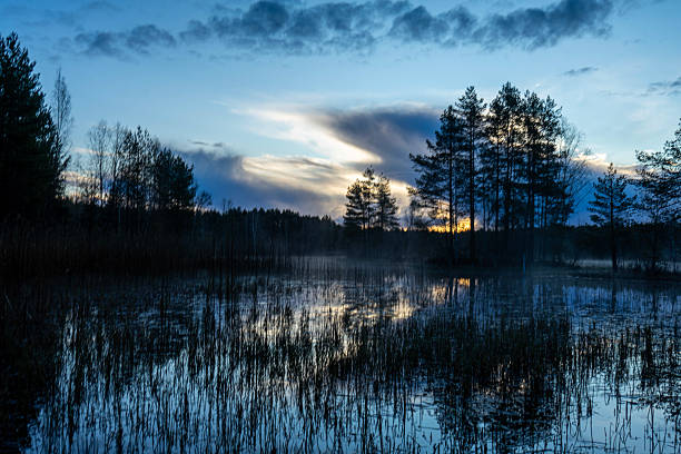 A peaceful dawn scene with fog drifting across the lake as the first light of day breaks through.