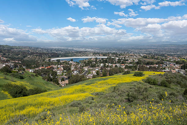 istock Wildflower Hillside Orange County California 2213172576