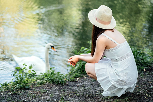 istock Woman Feeding Swan by Lakeside 2213172645