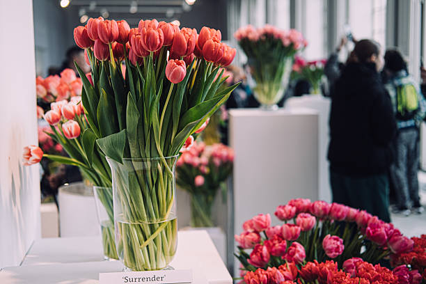 istock Varietal Tulips Display at Floral Exhibition 2213175806