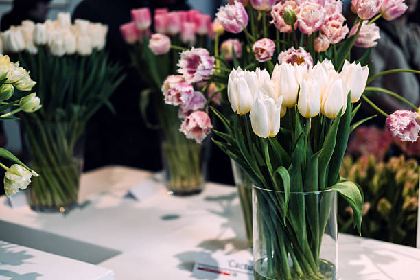 istock Varietal Tulips Display at Floral Exhibition 2213177191