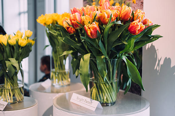 istock 'Bright Parrot' Tulips Display at Botanical Event 2213177206