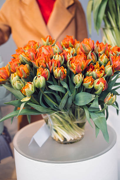 Colorful Parrot Tulips in Full Bloom on Display