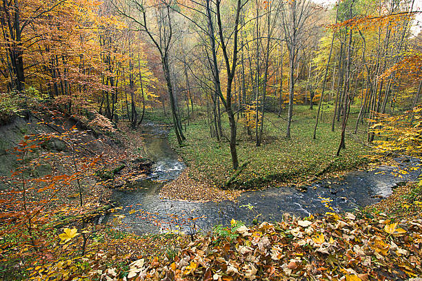 Photo of water flowing in a river during autumn or fall season