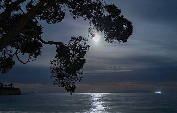 istock Night sea in the moonlight 2213197857