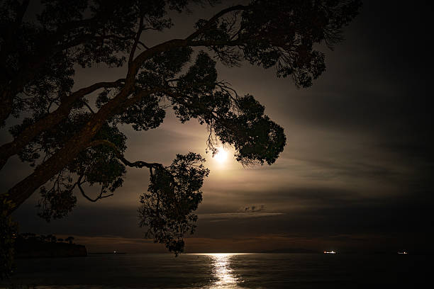 istock Night sea in the moonlight 2213197896