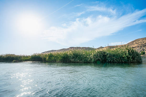 istock Nile River Shoreline Near Aswan High Dam in Spring 2213198096