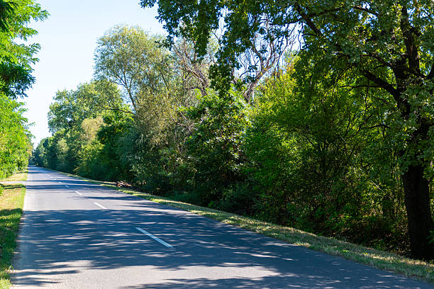 istock Asphalt road in the countryside 2213201924