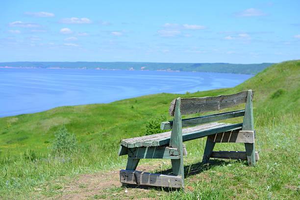 A wooden bench overlooking a scenic waterside view on a sunny day