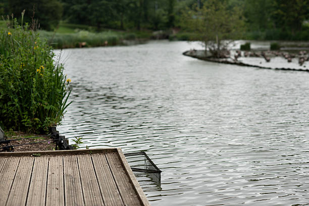 istock Wooden pier on the lake. summertime. space for text. 2213210584
