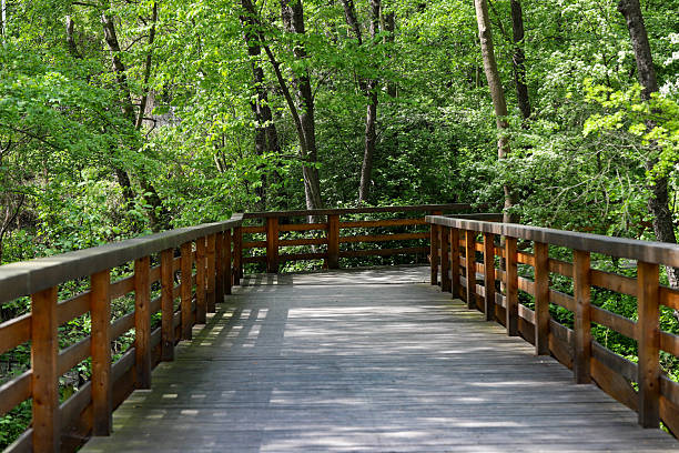 istock Wooden Pathway Through Green Park 2213210673