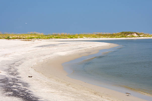 istock Dauphin Island - Pelican Point Wide View 2213210779