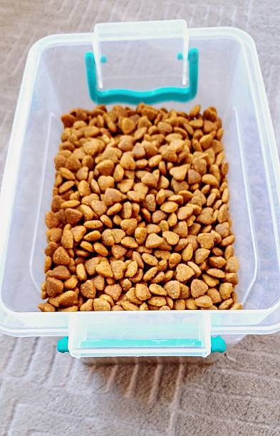 istock Dry food. Cat food. 2213214120