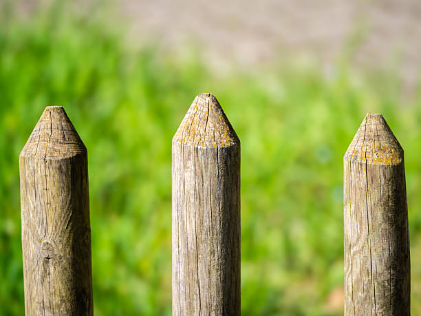 Three wooden fence posts with pointed tops, showing texture and weathering, against a blurred green grass background.