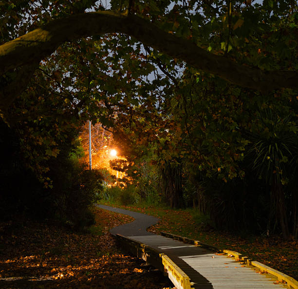 Path in a dark park leading to light, Sherwood Reserve, Auckland