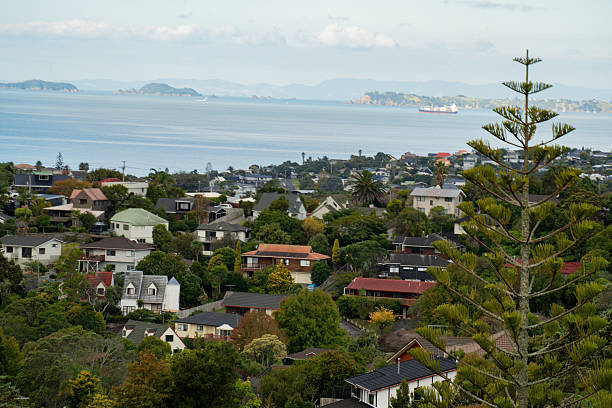 istock City view in Browns Bay area 2213219623