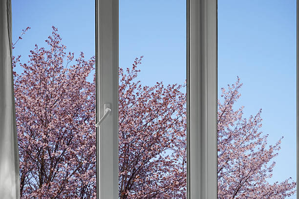 istock View from the window, blooming cherry, plum green trees, landscape with forest. 2213228460