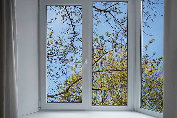 istock View from the window, blooming cherry, plum green trees, landscape with forest. 2213228462