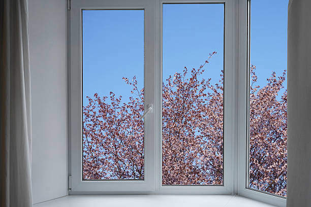 istock View from the window, blooming cherry, plum green trees, landscape with forest. 2213228464