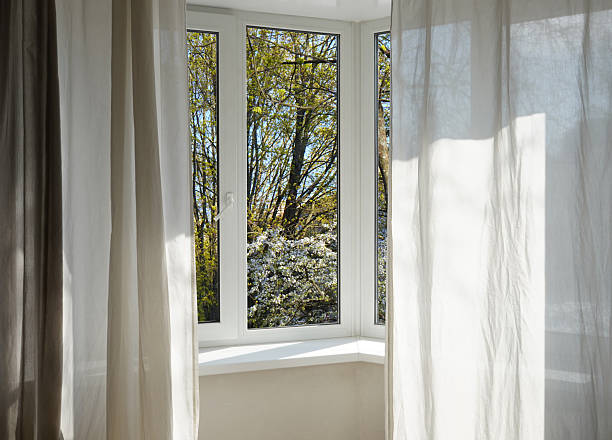 istock View from the window, blooming cherry, plum green trees, landscape with forest. 2213228469