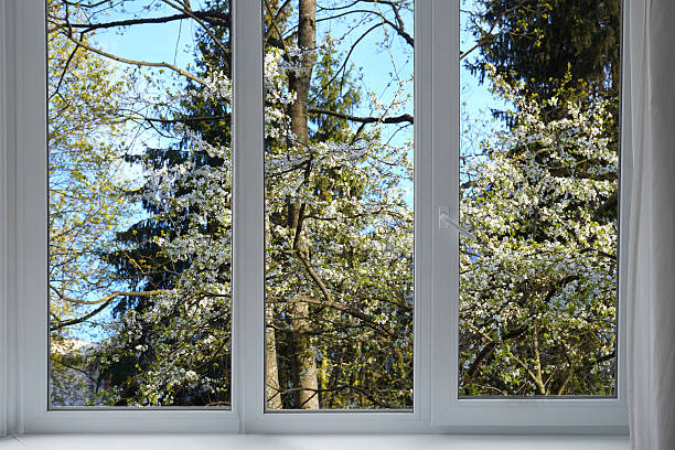 View from the window, blooming cherry, plum green trees, landscape with forest.