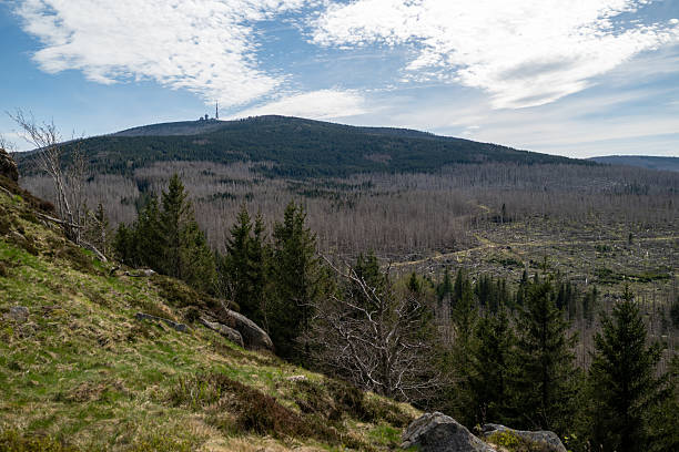 Blick über den Harz zum Brocken
