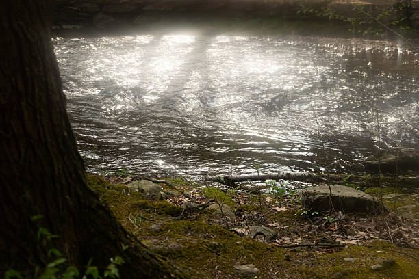 Photos at sunset in the river