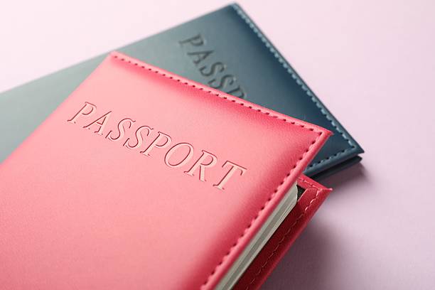 istock Passports in color covers on pink background, closeup 2213232135