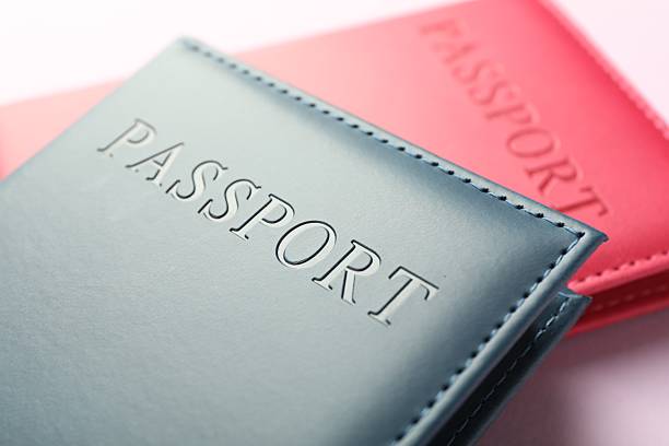 istock Passports in color covers on pink background, closeup 2213232144