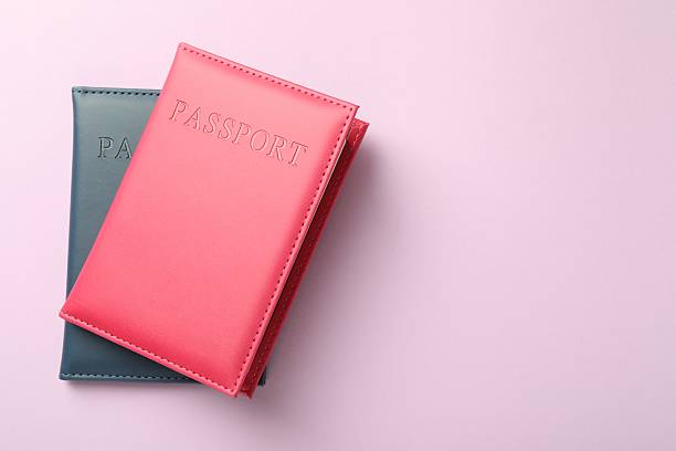 istock Passports in color covers on pink background, top view. Space for text 2213232145