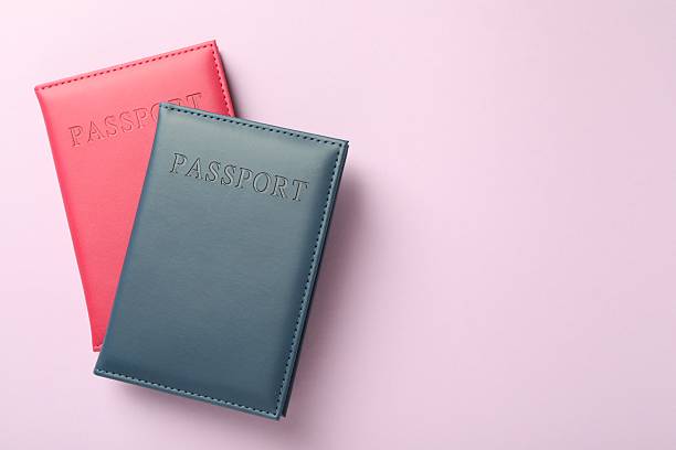istock Passports in color covers on pink background, top view. Space for text 2213232149