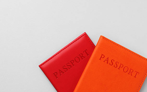 istock Passports in bright covers on grey background, top view. Space for text 2213232614