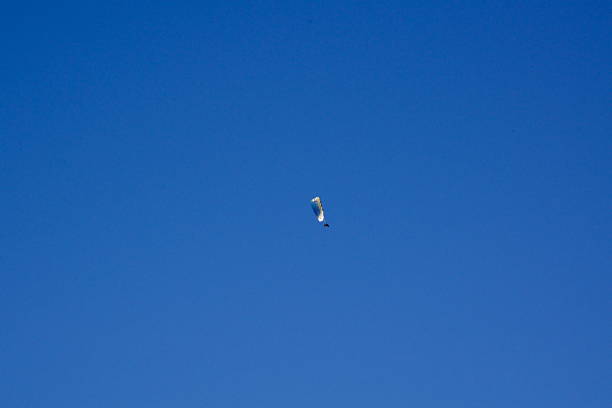 motorized hang glider cross in prospectical plane an aerial glider towed by a motorized aircraft in a sunny summer morning